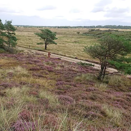 Secluded Log Near Graerup - By Traum