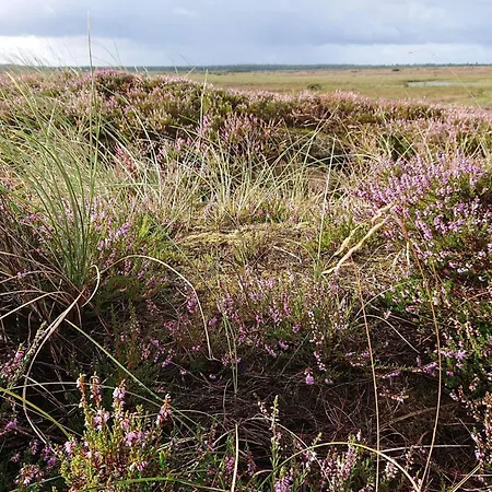 Secluded Log Near Graerup - By Traum Vakantiehuis Oksbøl