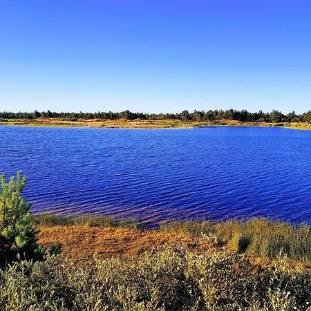 6 Person In Oksbol (Syddanmark)
